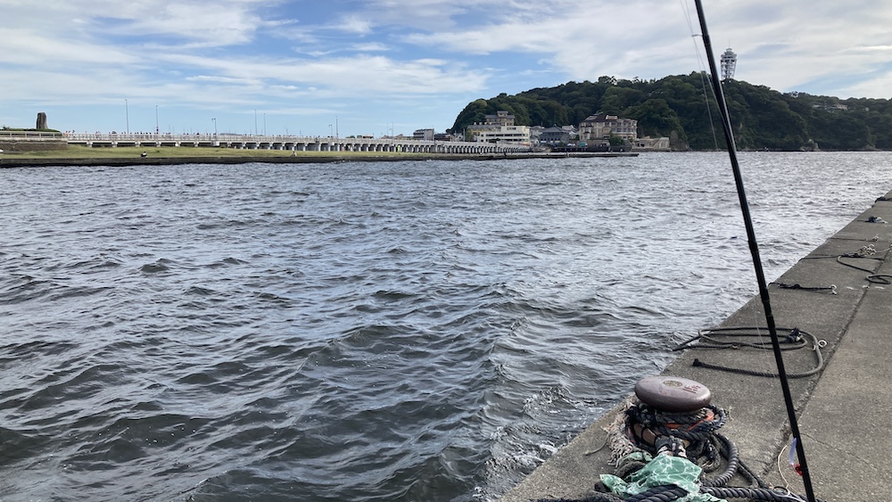 2024/09/21の境川河口の様子。