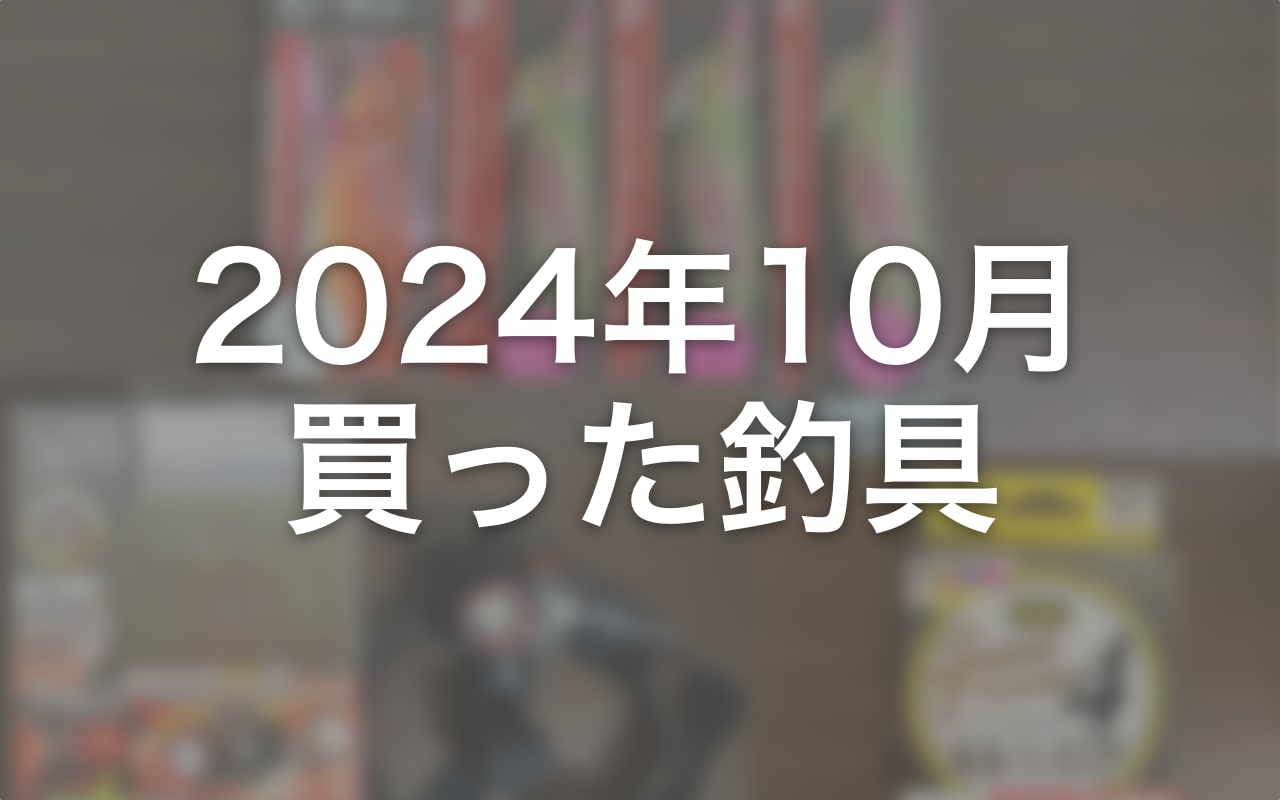 【2024年10月】釣具関連の買い物