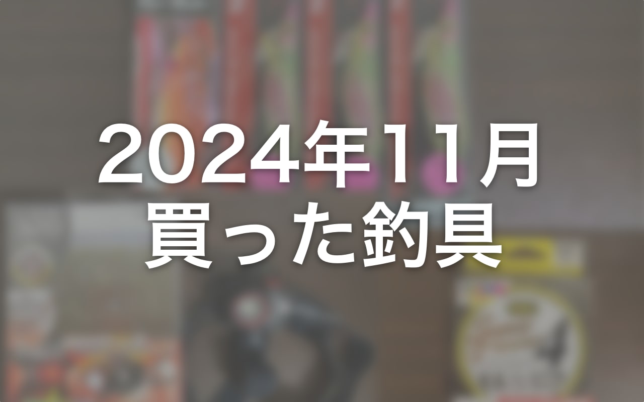 【2024年11月】釣具関連の買い物