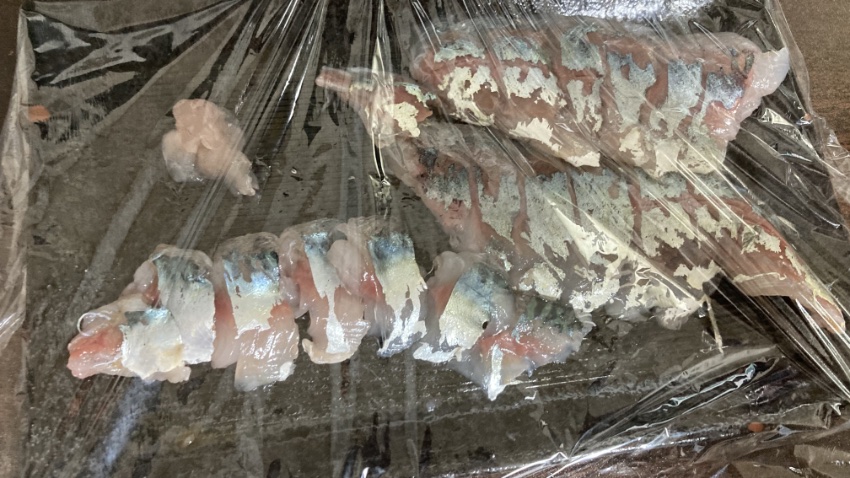 ワカシとサバの刺身の写真。