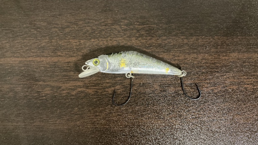 スミス　Dコンタクトの写真。