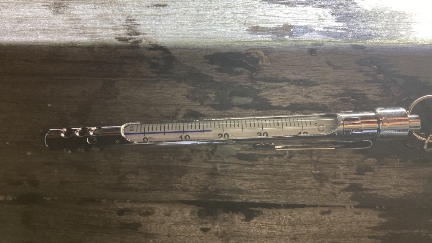 2025年11月12日の片瀬漁港の水温。