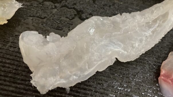 キュウセンの刺身の写真。